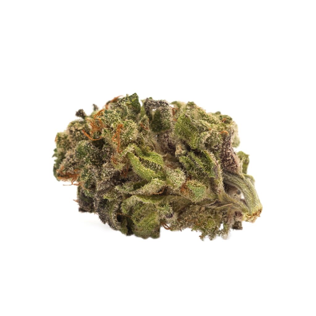 Twd Sativa 3