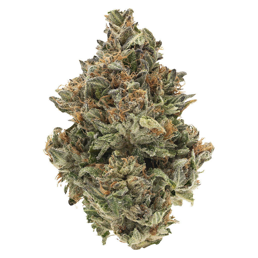 Bc Organic Fire Og Lto