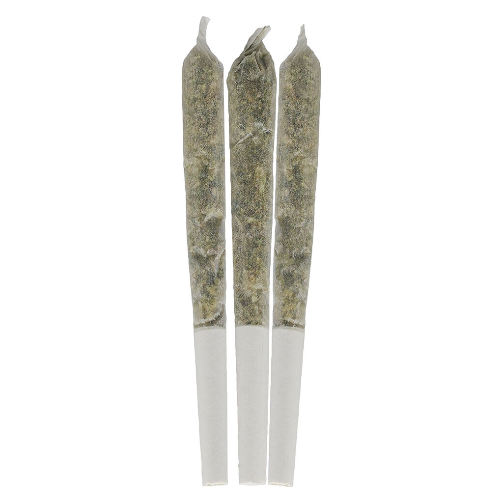 Blueberry Seagal Live Resin Infused Pre-Rolls
