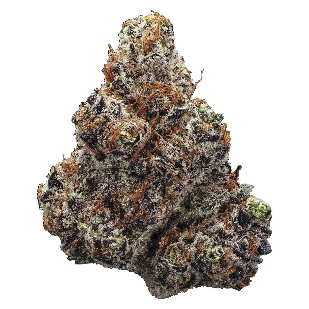 Northern Lights