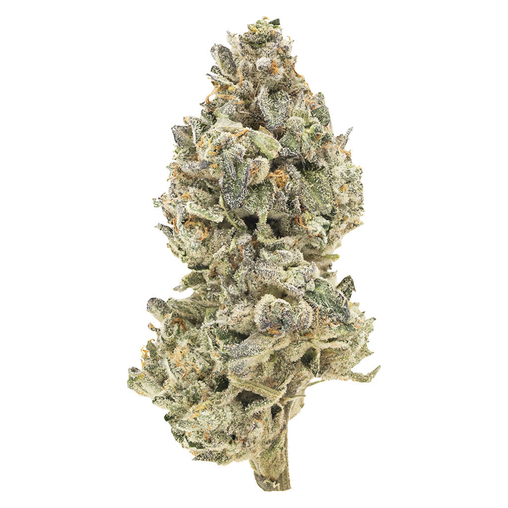 Bc Organic Pineapple Sour Lto