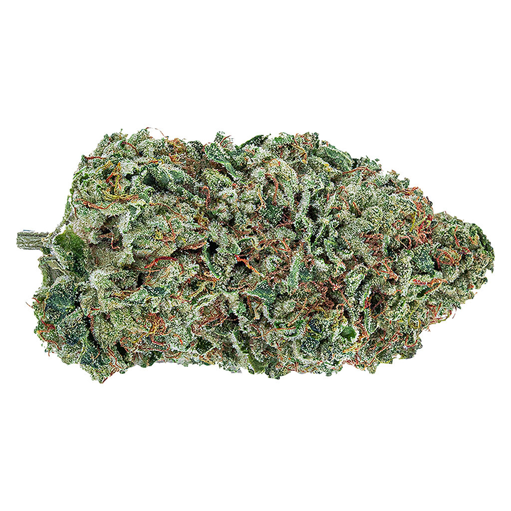 Organic Maple Kush 14G