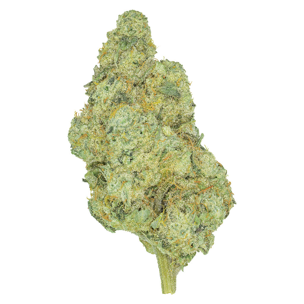 ginger breath cookies 3.5