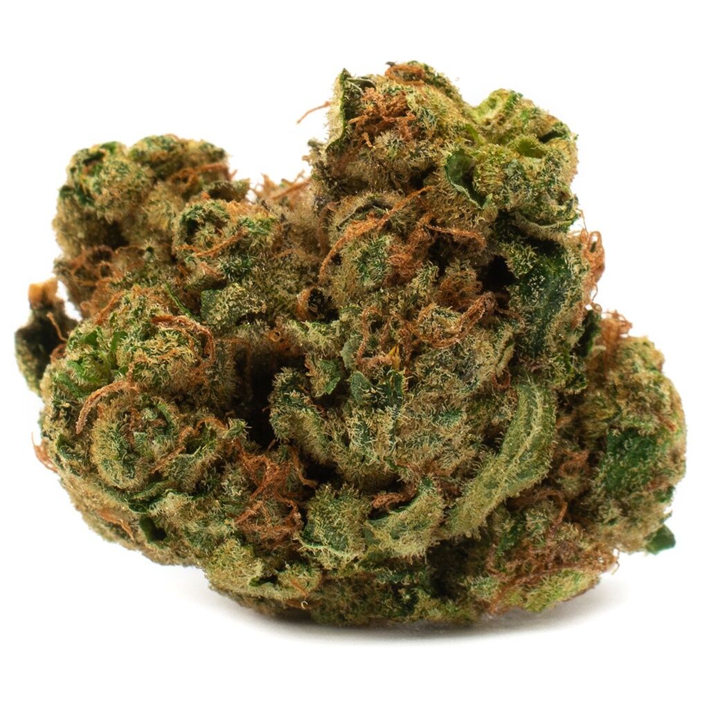 Houseplant Indica 2