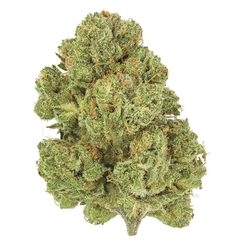 San Rafael 71-Moon Berry
