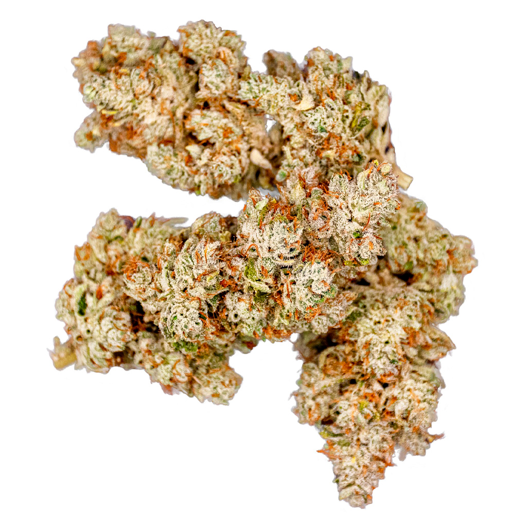 Purplefarm Genetics Sour Glue