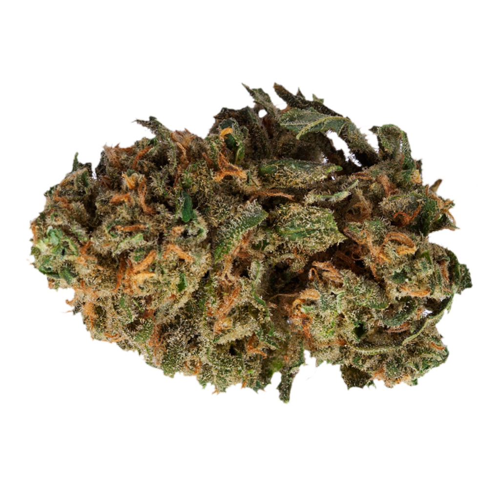 Os. Sativa 3