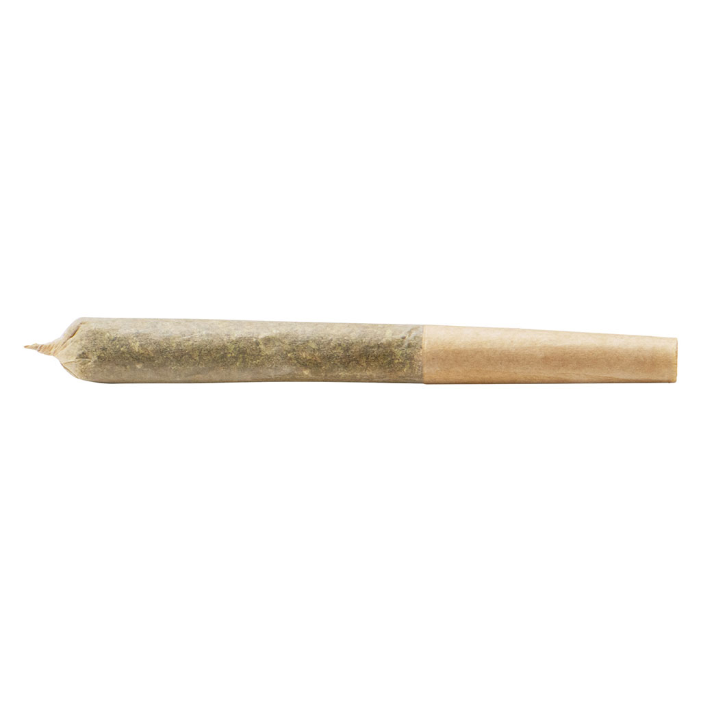 Bc Dreamweaver Pre-Rolls