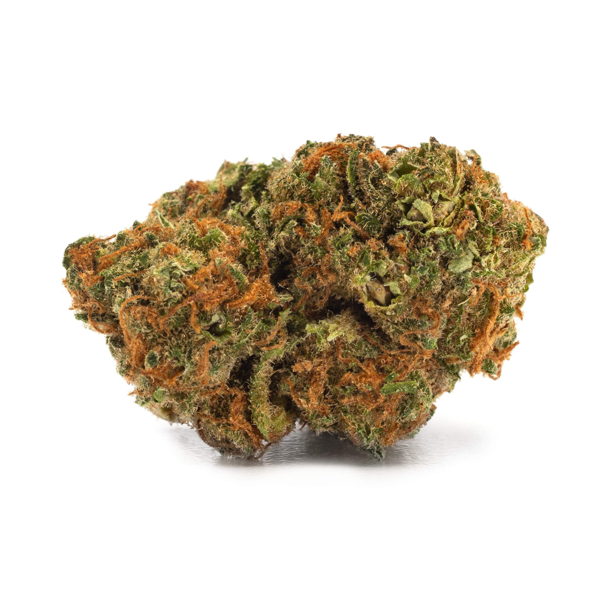 Penelope (Skunk Haze)