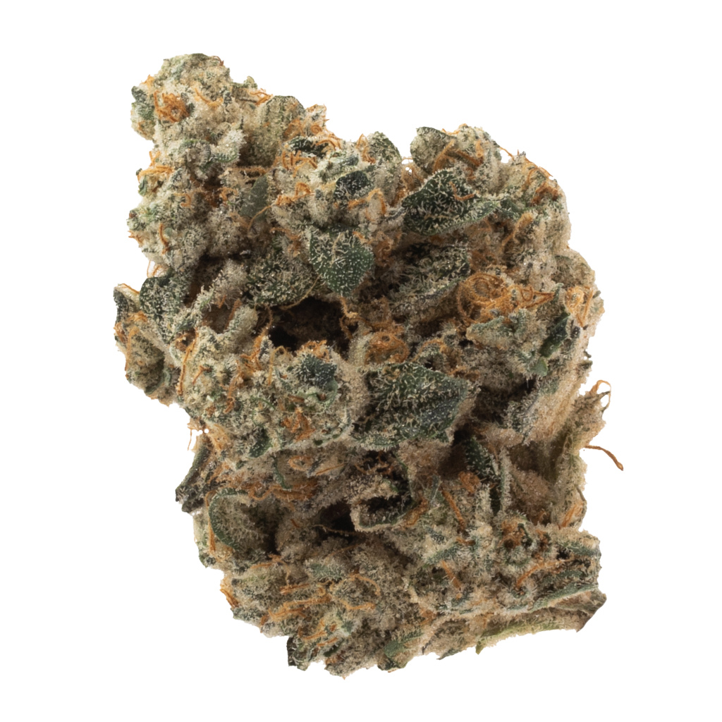 Space Flight Superstar #11