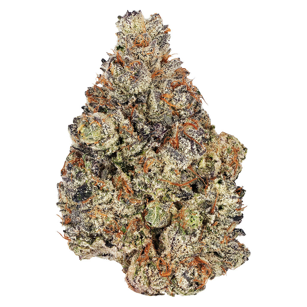 Holy Grail