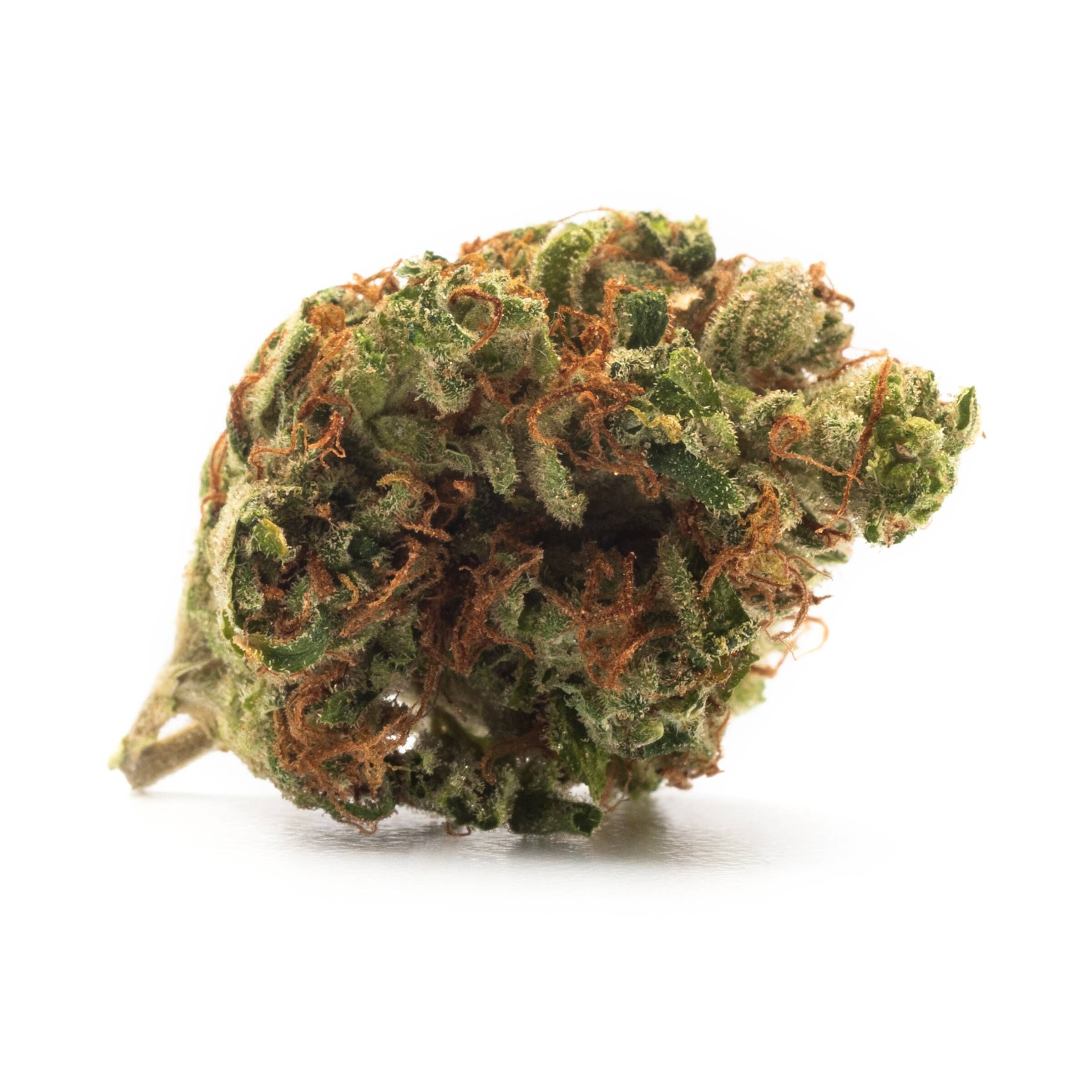 Highlands (Afghan Kush) 3