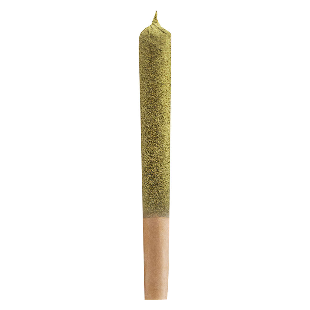 Kief+Distillate Inf Purple Kush Slugger Pre-Rolls