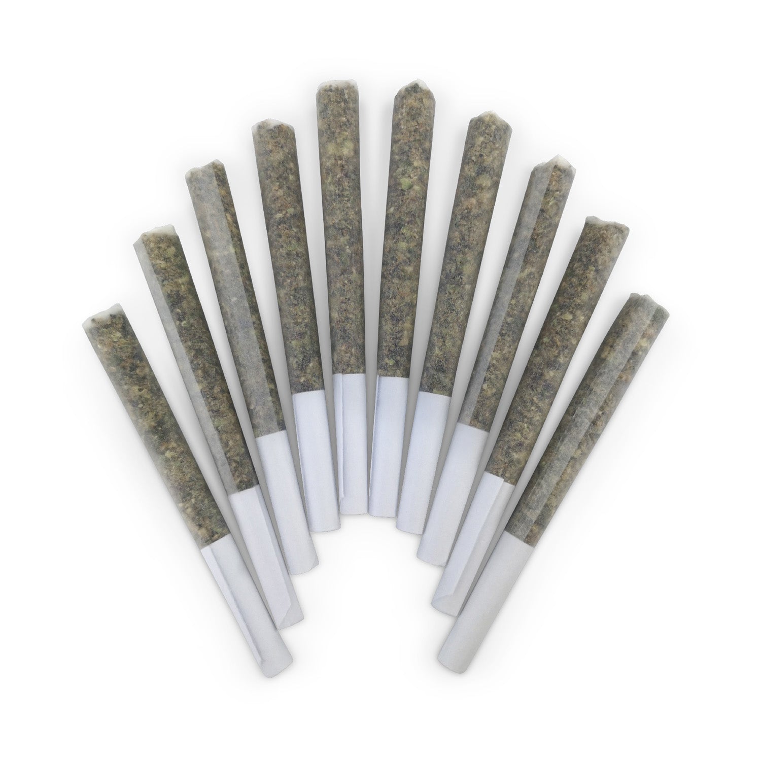 You Don'T Know Jack Pre-Rolls