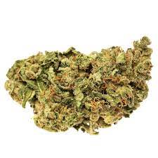 Sour Kush