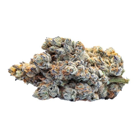 Exclusives - Blk Rain Lto