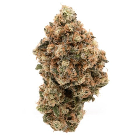 scotti biscotti 28g 2