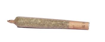Pale Whale Pre-Roll