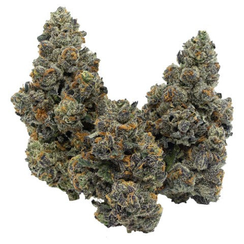 F.A.A.F.O- gastropop 7g 2
