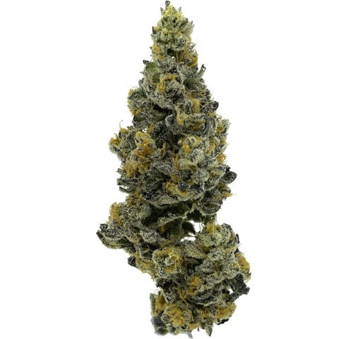 Dosido X Wedding Cake F3 X Jealousy