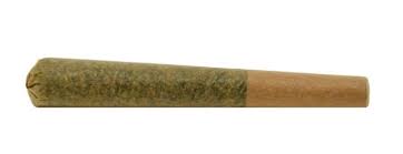 Orange Bud Pre-Roll