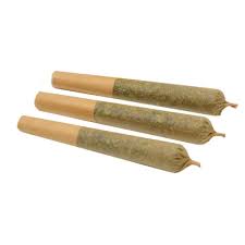 Cindy Jack Pre-Roll