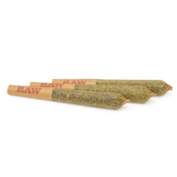 Gluerangutan Pre-Rolls
