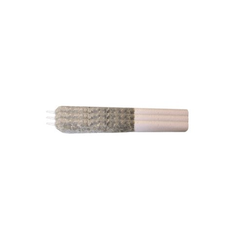 Sherbo X Animal Style Live Rosin Infused Pre-Rolls