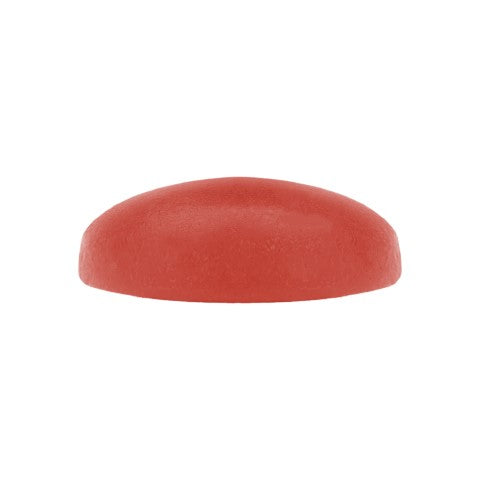 Rainbow Driver Cured Resin Fruit Chews