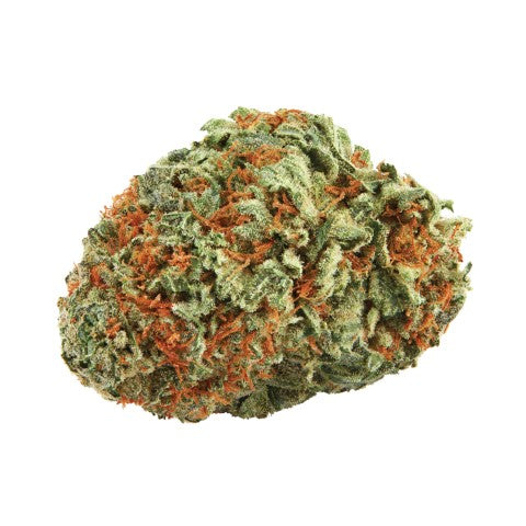 Motor Breath