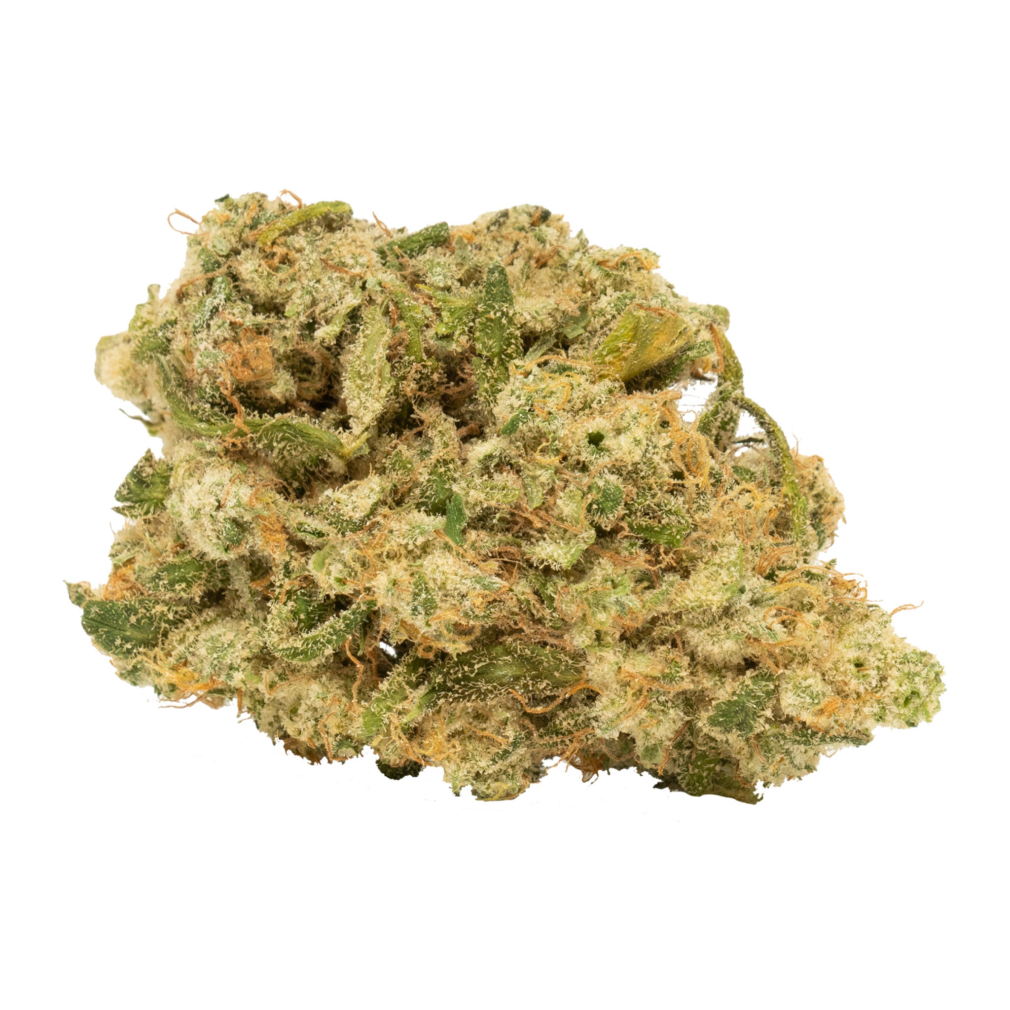 Doja Og Black Rose Royale 2