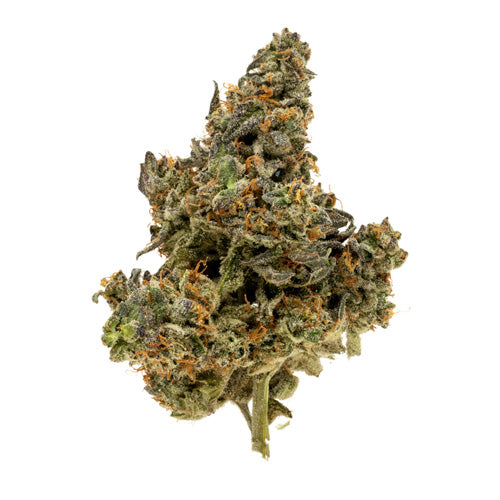 bc organic power mintz 28g