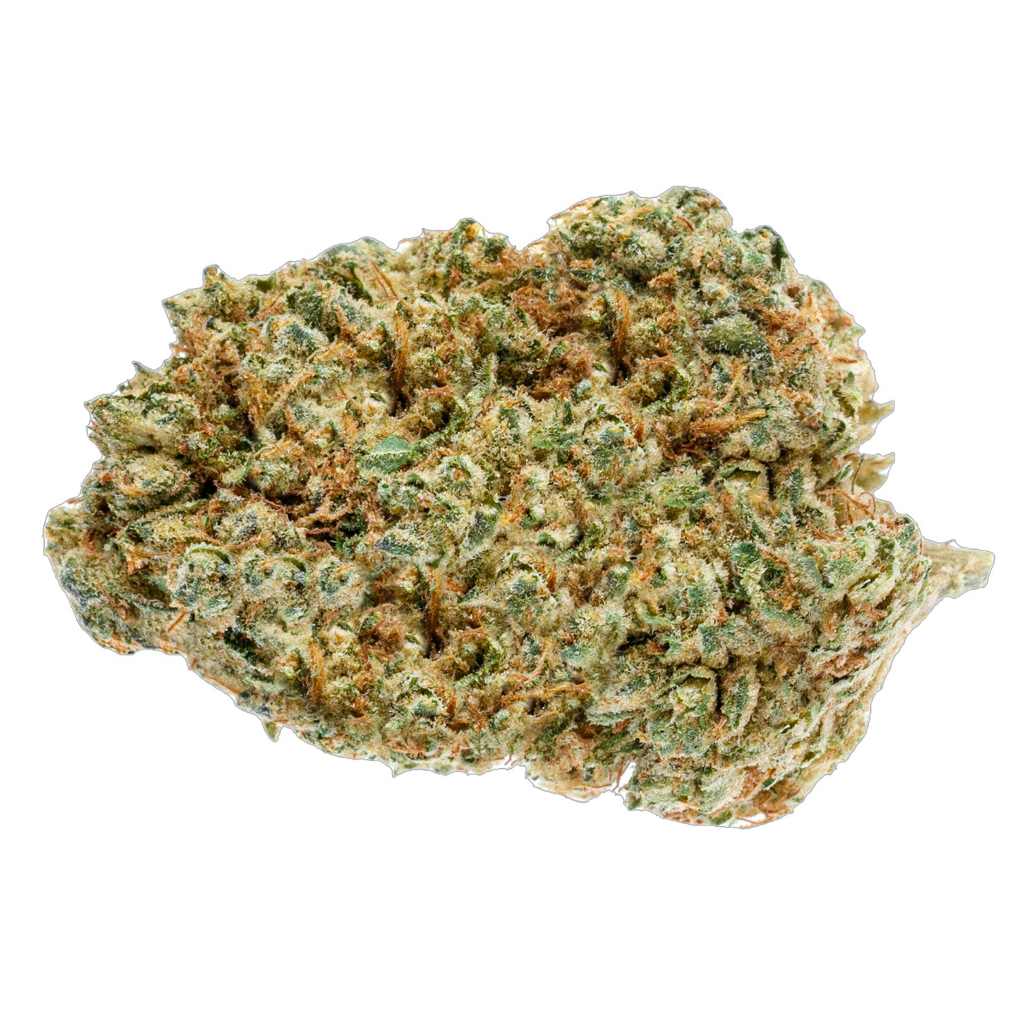 Cake Paste Lto