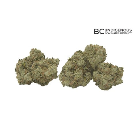 Bc Cannabis Inc - Golden Haze Dry Flower