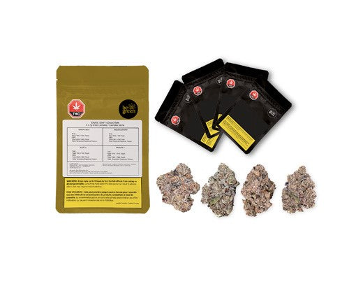 Exotic Craft Collection Pack 2