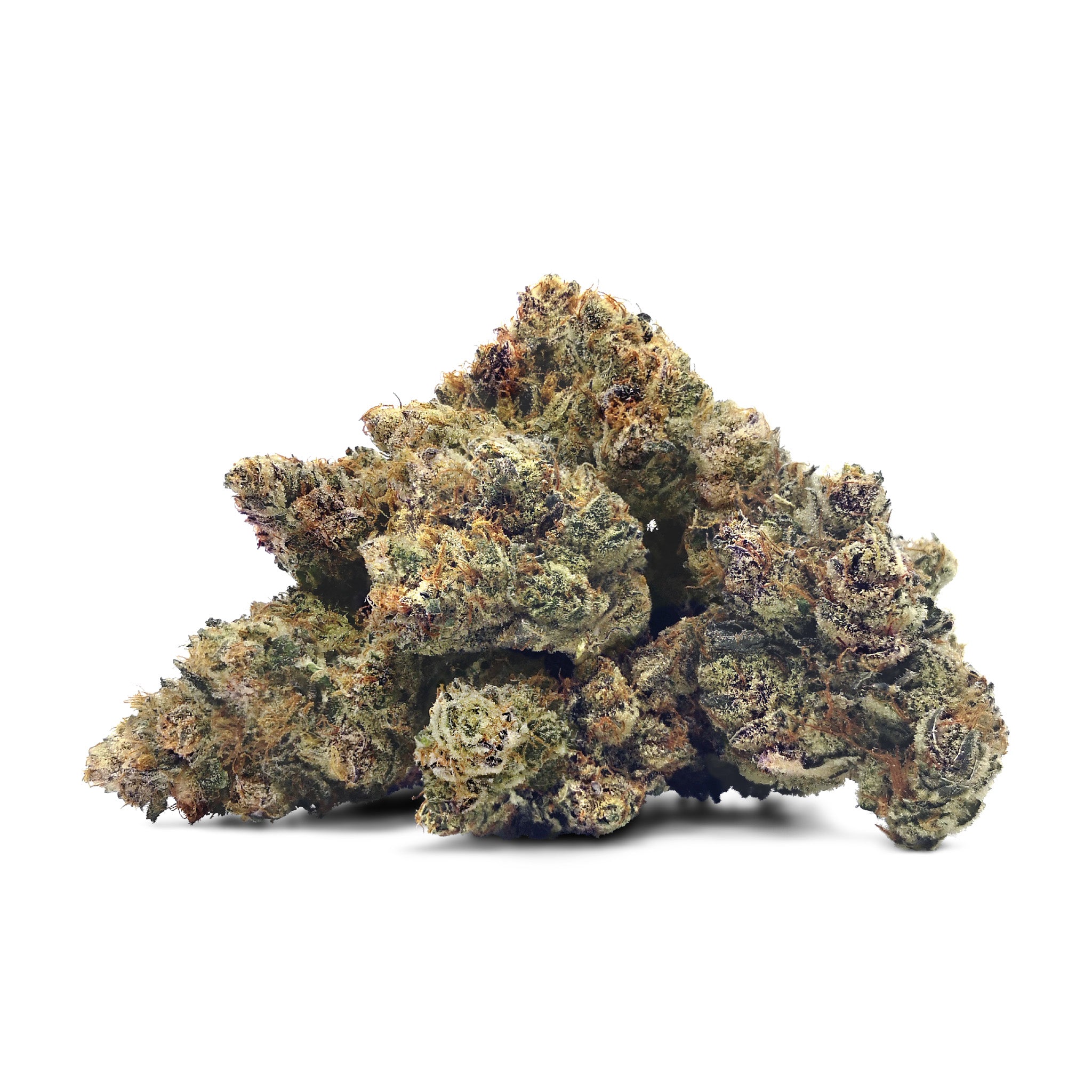 Cactus Breath X Garlic Sherbert