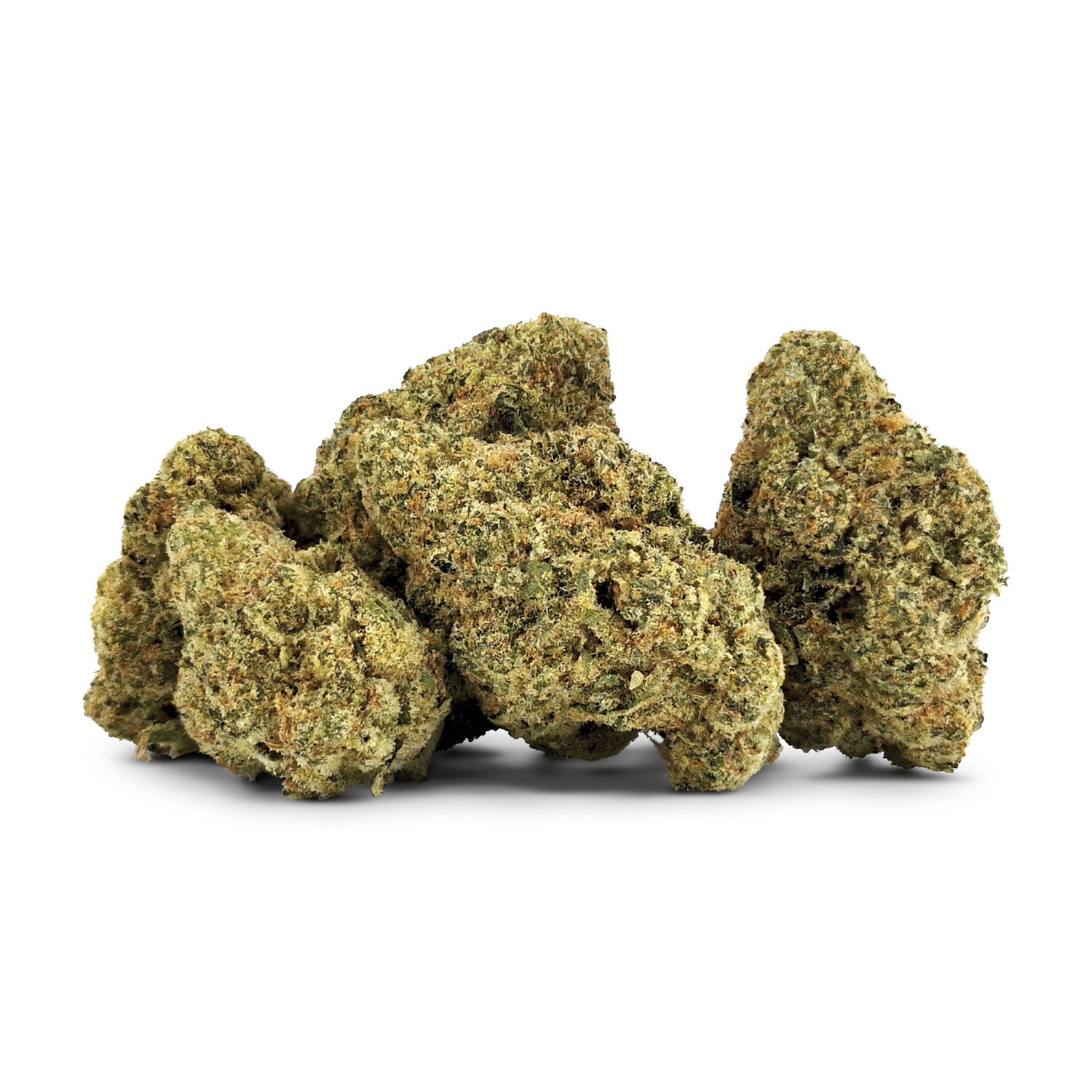 G13 Bx1