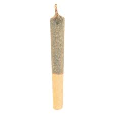 No. 509 Skyscraper Pre-Roll
