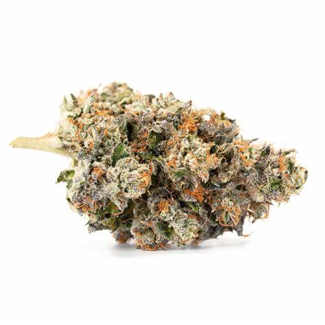 Nitro Cookies 3