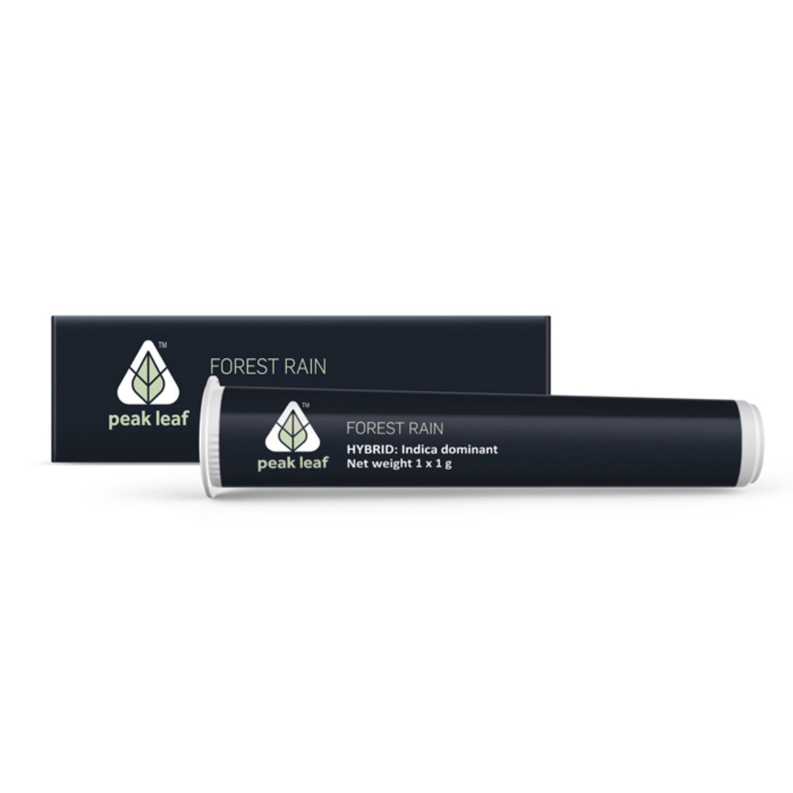 Forest Rain Pre-Roll