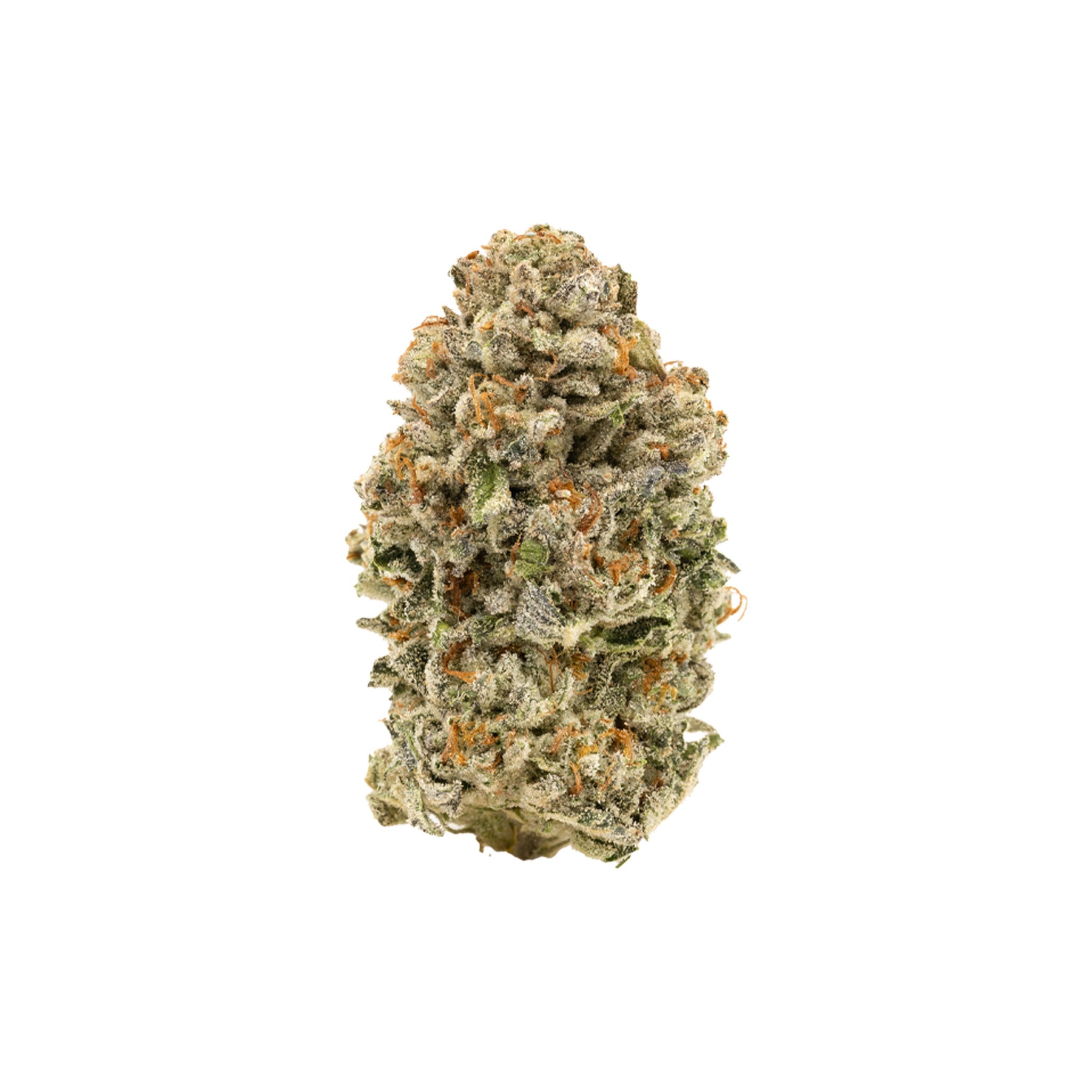 BC Organic High Society