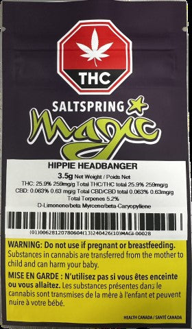 Hippie Headbanger 2