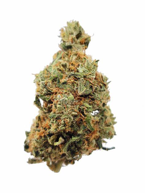 Mandarin Cookies