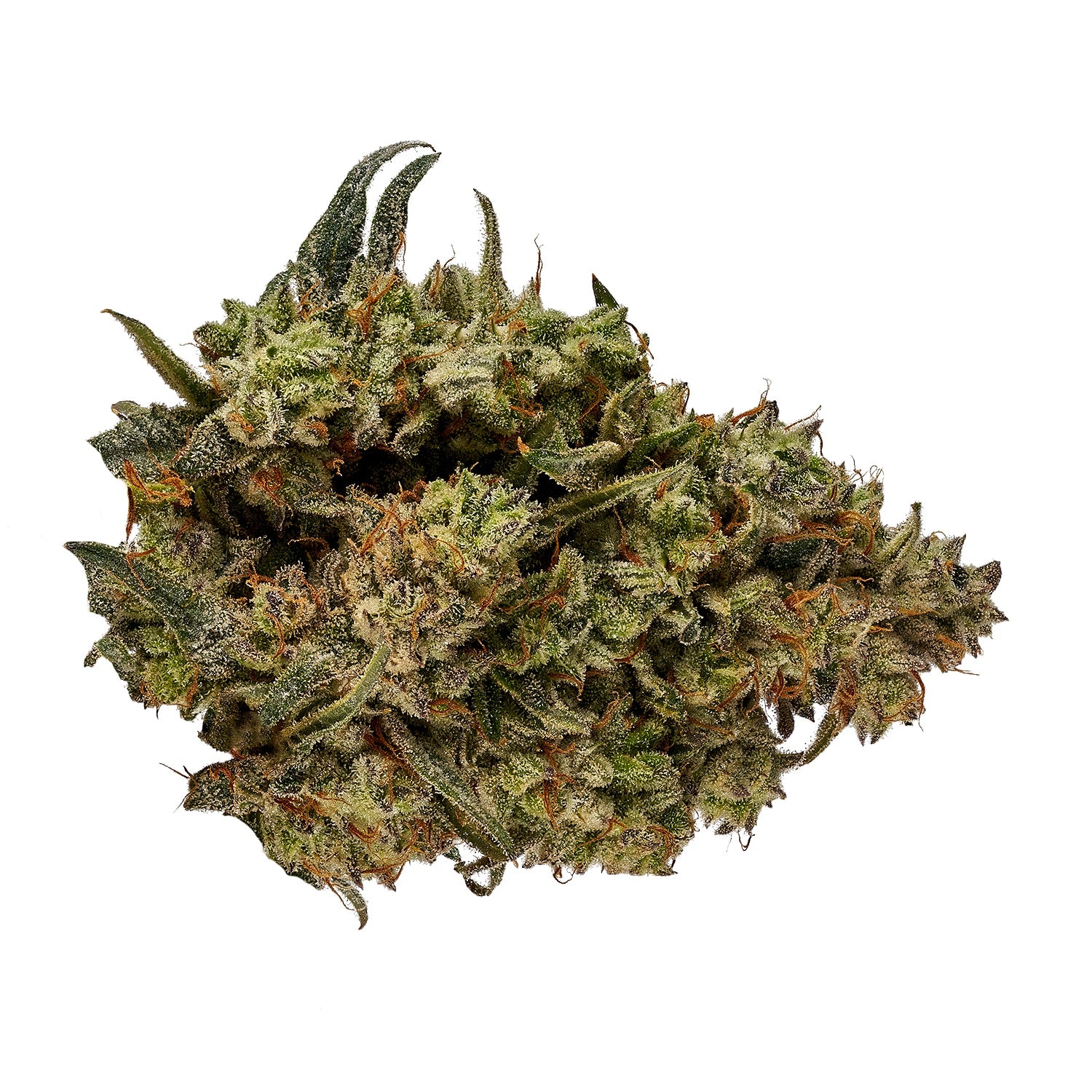 Orchid-cbd runtz