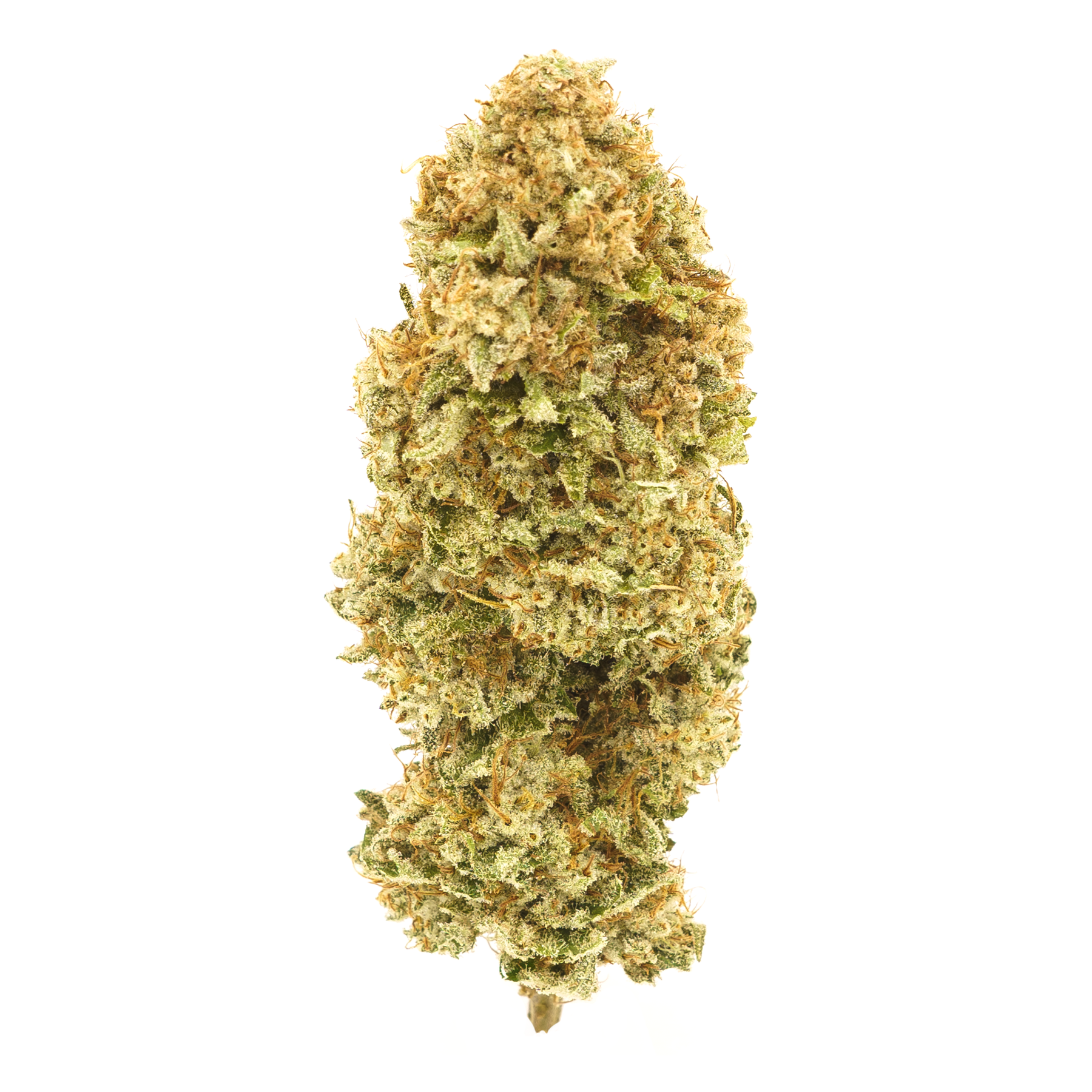 organic cherry AK