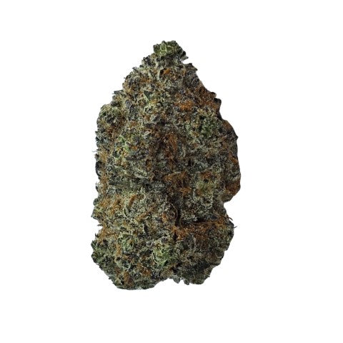 Organic (Lso) Maple Blizzard 2