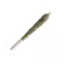 Island Pink Pre-Roll
