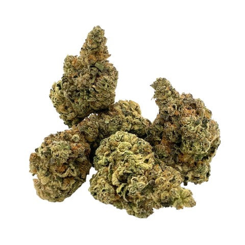 Trailblazer M*Fia Funeral Indica