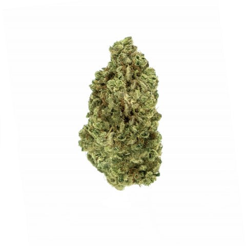 Lemon Gelato