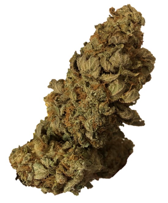 Castro collective- Castro express 14g
